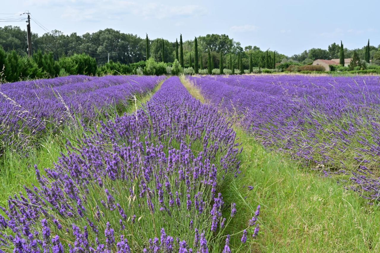 Gite De Charme "Puisneuf" Proche De Uzes Βίλα Flaux Εξωτερικό φωτογραφία