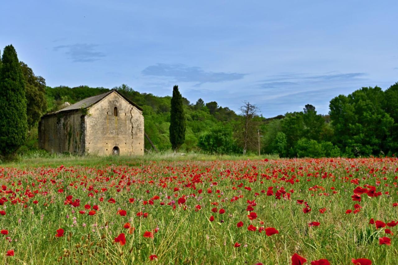 Gite De Charme "Puisneuf" Proche De Uzes Βίλα Flaux Εξωτερικό φωτογραφία